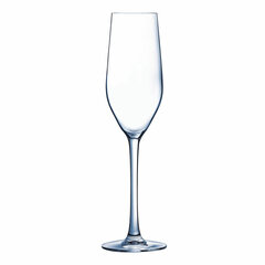 Бокал шампанского и шампанского Arcoroc Mineral Cтекло 160 ml цена и информация | Стаканы, фужеры, кувшины | pigu.lt