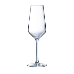 Набор рюмок Arcoroc Vina Juliette Шампанское Прозрачный Cтекло (230 ml) (6 штук) цена и информация | Стаканы, фужеры, кувшины | pigu.lt