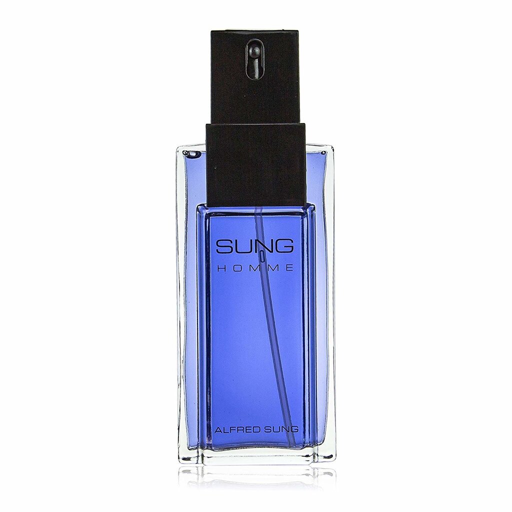 Tualetinis vanduo Alfred Sung Sung Homme EDT vyrams 100 ml kaina ir informacija | Kvepalai vyrams | pigu.lt