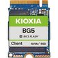 Kioxia BG5 KBG50ZNS256G цена и информация | Vidiniai kietieji diskai (HDD, SSD, Hybrid) | pigu.lt