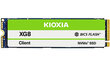 Kioxia XG8 Series KXG80ZNV1T02 kaina ir informacija | Vidiniai kietieji diskai (HDD, SSD, Hybrid) | pigu.lt