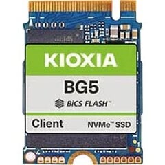 Kioxia BG5 KBG50ZNS512G kaina ir informacija | Vidiniai kietieji diskai (HDD, SSD, Hybrid) | pigu.lt