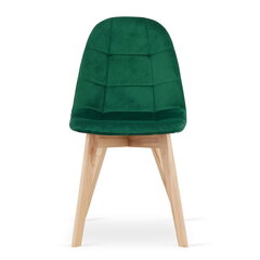 2-ių kėdžių komplektas Bora, žalias kaina ir informacija | Virtuvės ir valgomojo kėdės | pigu.lt