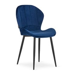 2-ių kėdžių komplektas Terni, mėlynas kaina ir informacija | Virtuvės ir valgomojo kėdės | pigu.lt
