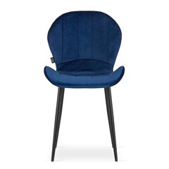 2-ių kėdžių komplektas Terni, mėlynas kaina ir informacija | Virtuvės ir valgomojo kėdės | pigu.lt