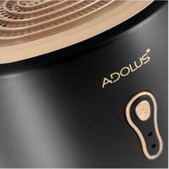 Oro sausintuvas Adolus VIVO 22W, 800ml цена и информация | Осушители воздуха, влагопоглотители | pigu.lt