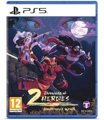 Chronicles of 2 Heroes: Amaterasu's Wrath kaina ir informacija | Kompiuteriniai žaidimai | pigu.lt