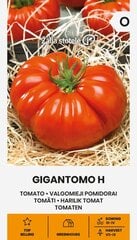 Valgomieji pomidorai Gigantomo H Žalia stotelė цена и информация | Семена овощей, ягод | pigu.lt