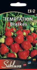 Клубника ранняя TEMPTATION (ИСКУШЕНИЕ). Семена клубники цена и информация | Семена овощей, ягод | pigu.lt