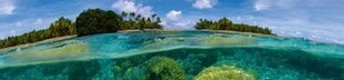 Самоклеящиеся фотообои (с ламинацией) - Коралловый риф, 260х60 см цена и информация | Фотообои с инструментом и клеем - Бежевые листья эвкалипта, 400x280 см | pigu.lt