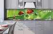 Lipnus fototapetas su laminavimu - Ladybird, 260x60 cm kaina ir informacija | Fototapetai | pigu.lt