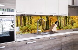 Самоклеящиеся фотообои (с ламинацией) - Осенний лес, 260х60 см цена и информация | Фотообои | pigu.lt
