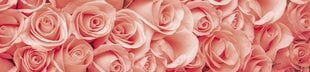 Lipnus fototapetas su laminavimu - Rožės, 260x60 cm kaina ir informacija | Fototapetai | pigu.lt