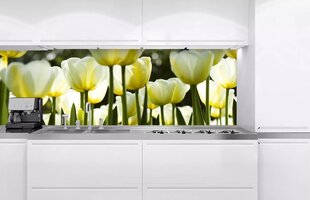 Lipnus fototapetas su laminavimu - Baltos tulpės, 180x60 cm kaina ir informacija | Fototapetai | pigu.lt