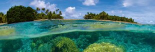 Самоклеящиеся фотообои (с ламинацией) - Коралловый риф, 180x60 cm цена и информация | Фотообои с инструментом и клеем - Бежевые листья эвкалипта, 400x280 см | pigu.lt