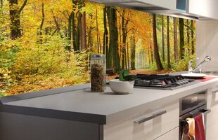 Самоклеящиеся фотообои (с ламинацией) - Осенний лес, 180x60 cm цена и информация | Фотообои | pigu.lt