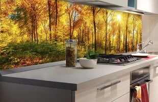 Lipnus fototapetas su laminavimu - Saulėti miškai, 180x60 cm kaina ir informacija | Fototapetai | pigu.lt