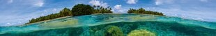 Самоклеящиеся фотообои (с ламинацией) - Коралловый риф, 350x60 см цена и информация | Фотообои с инструментом и клеем - Бежевые листья эвкалипта, 400x280 см | pigu.lt