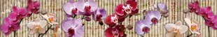 Lipnus fototapetas su laminavimu - Orchidėja, 350x60 cm kaina ir informacija | Fototapetai | pigu.lt