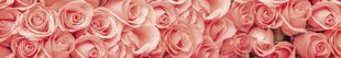 Lipnus fototapetas su laminavimu - Rožės, 350x60 cm kaina ir informacija | Fototapetai | pigu.lt