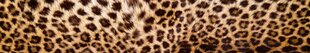 Lipnus fototapetas su laminavimu - Leopardo oda, 350x60 cm kaina ir informacija | Fototapetai | pigu.lt