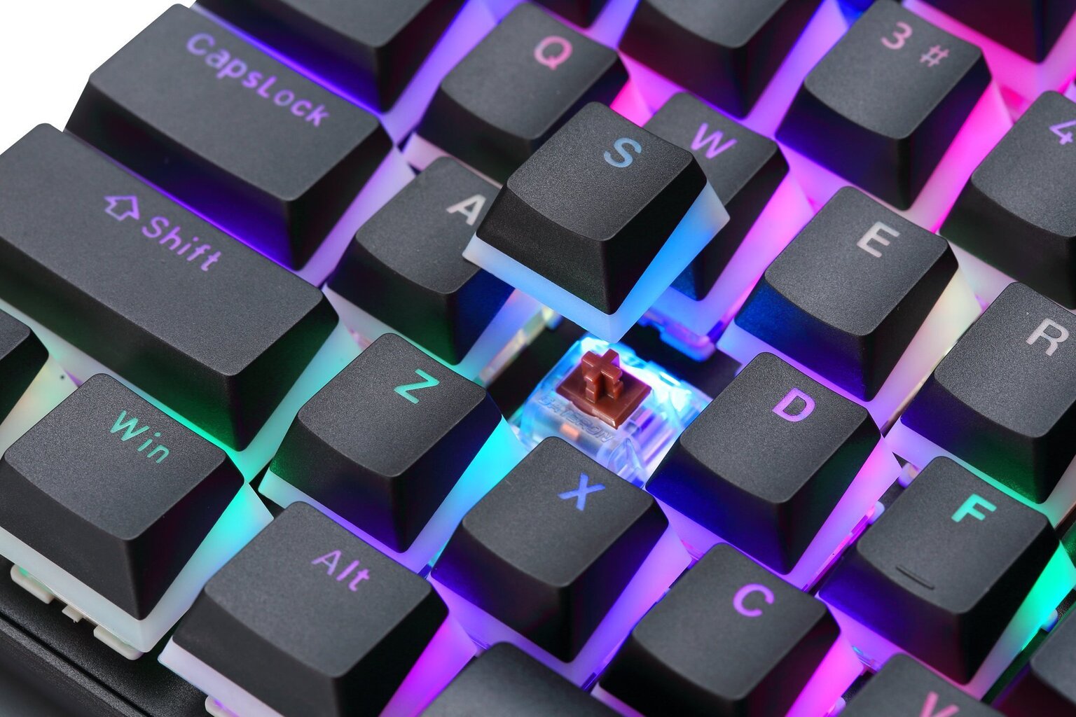 Preyon Brown Blitz Claw Gateron PBRBC87B kaina ir informacija | Klaviatūros | pigu.lt