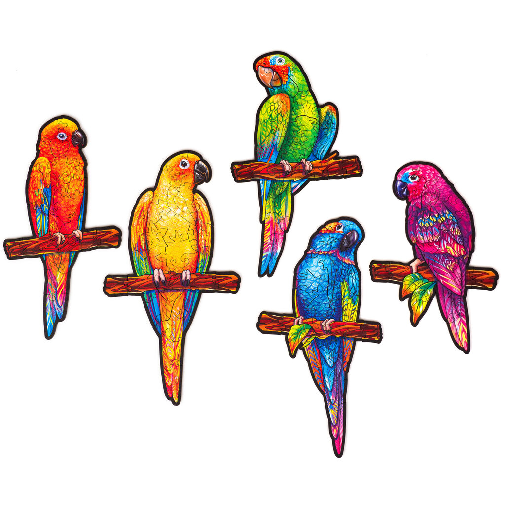 Medinė dėlionė Unidragon Playful parrots, 105 det. kaina ir informacija | Dėlionės (puzzle) | pigu.lt