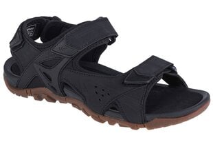 sandały męskie 4F Sandals 4FSS23FSANM018-20S 60536-P kaina ir informacija | Vyriškos šlepetės, basutės | pigu.lt