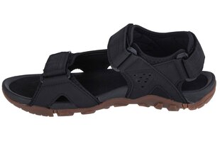 sandały męskie 4F Sandals 4FSS23FSANM018-20S 60536-P kaina ir informacija | Vyriškos šlepetės, basutės | pigu.lt