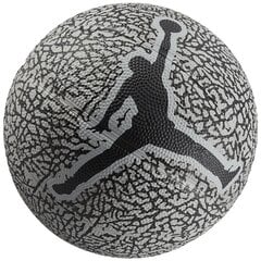 piłka do koszykówki Jordan Skills 2.0 Graphic Mini Ball J1006753-650 цена и информация | Баскетбольные мячи | pigu.lt