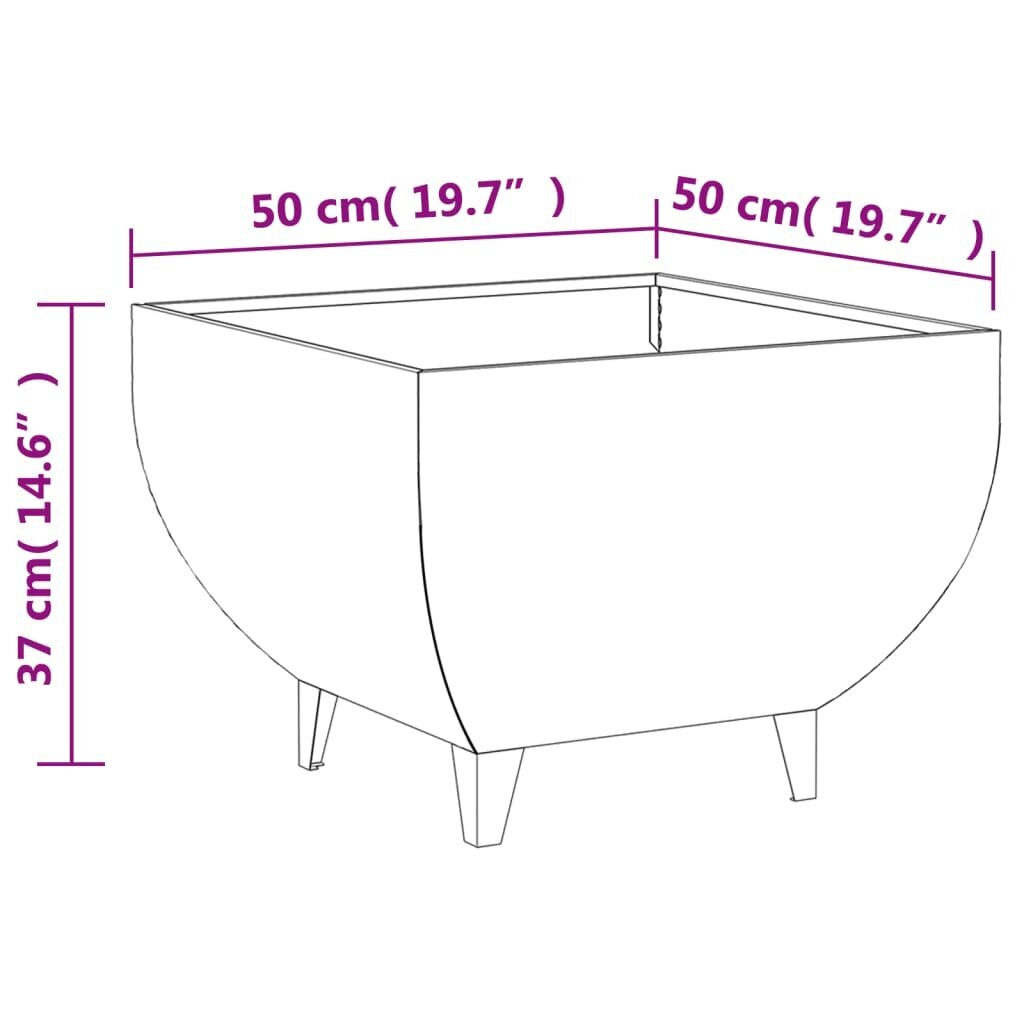 Laužavietė vidaXL Corten plienas 824542 цена и информация | Židiniai, ugniakurai | pigu.lt