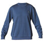 Marškinėliai vyrams Skechers 62004-234, mėlyni kaina ir informacija | Vyriški marškinėliai | pigu.lt