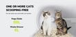 Savaime išsivalanti kačių kraiko dėžutė Furbulous kaina ir informacija | Kačių tualetai | pigu.lt