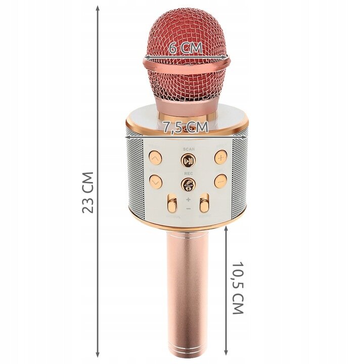 Karaoke mikrofonas Izoxis цена и информация | Priedai muzikos instrumentams | pigu.lt
