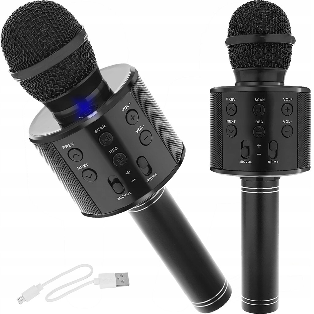 Karaoke mikrofonas Izoxis kaina ir informacija | Priedai muzikos instrumentams | pigu.lt