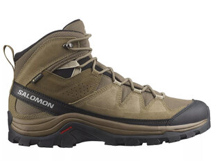 Quest rove gtx salomon for men's green l47181400 L47181400 цена и информация | Мужские кроссовки | pigu.lt