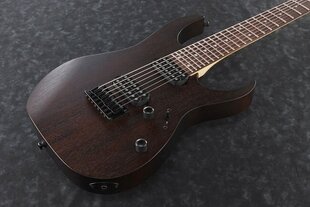 Электрогитара Ibanez RG7421-WNF -7 цена и информация | Гитары | pigu.lt