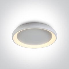 ONELight потолочный светильник LED Decorative Plafo 62144N/W/W цена и информация | Потолочные светильники | pigu.lt