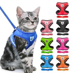 Подтяжка - шлейка для собак и котов с поводком Lielife цена и информация | Поводки и ошейники для кошек | pigu.lt