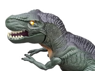 Dinozauras su garsais ir šviesomis 3260 kaina ir informacija | Žaislai berniukams | pigu.lt