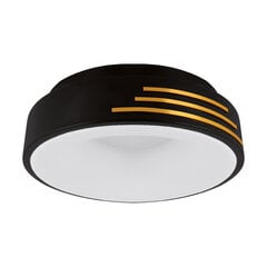 LIBRUS led c 24w nw lae smd led valgusti strühm 95x380x380mm цена и информация | Монтируемые светильники, светодиодные панели | pigu.lt