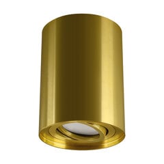 Laevalgusti hary c gu10 golden 124 x 98 x 98 mm 124 x 98 x 98 mm цена и информация | Потолочные светильники | pigu.lt