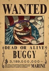 One Piece kaina ir informacija | Žaidėjų atributika | pigu.lt