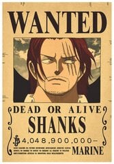 Plakatas One Piece kaina ir informacija | Reprodukcijos, paveikslai | pigu.lt