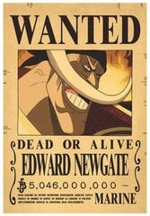 Плакат One Piece цена и информация | Репродукции, картины | pigu.lt