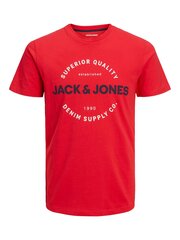 Jack & Jones мужская футболка 12235234*01, красный 5715426264800 цена и информация | Футболка мужская | pigu.lt