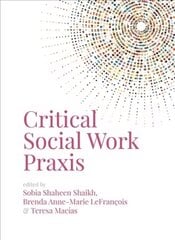 Critical Social Work Praxis kaina ir informacija | Socialinių mokslų knygos | pigu.lt