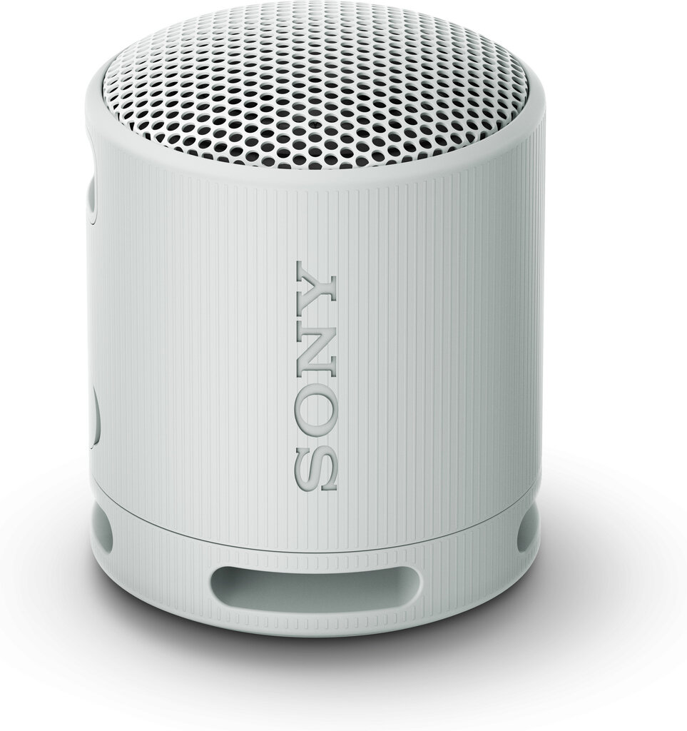 Sony SRSXB100H.CE7 kaina ir informacija | Garso kolonėlės | pigu.lt