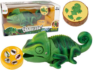 Nuotoliniu būdu valdomas Chameleonas Lean Toys, žalias kaina ir informacija | Žaislai berniukams | pigu.lt