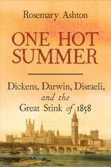 One Hot Summer: Dickens, Darwin, Disraeli, and the Great Stink of 1858 цена и информация | Исторические книги | pigu.lt